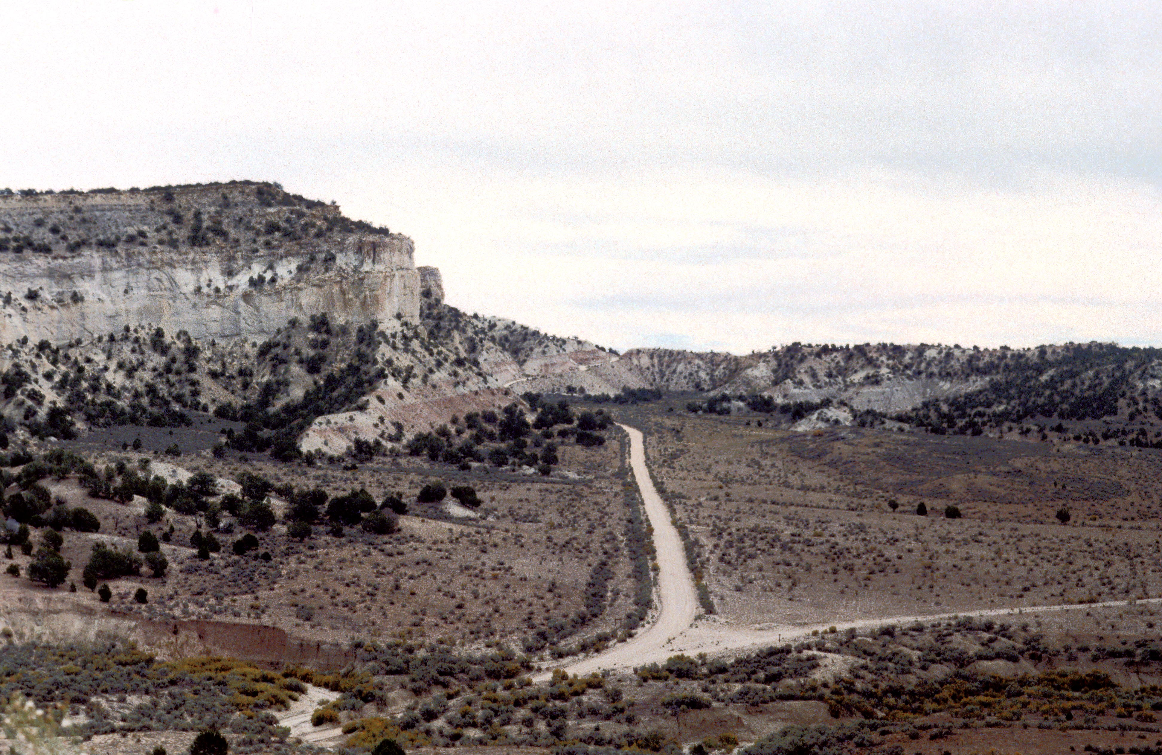 Desert road