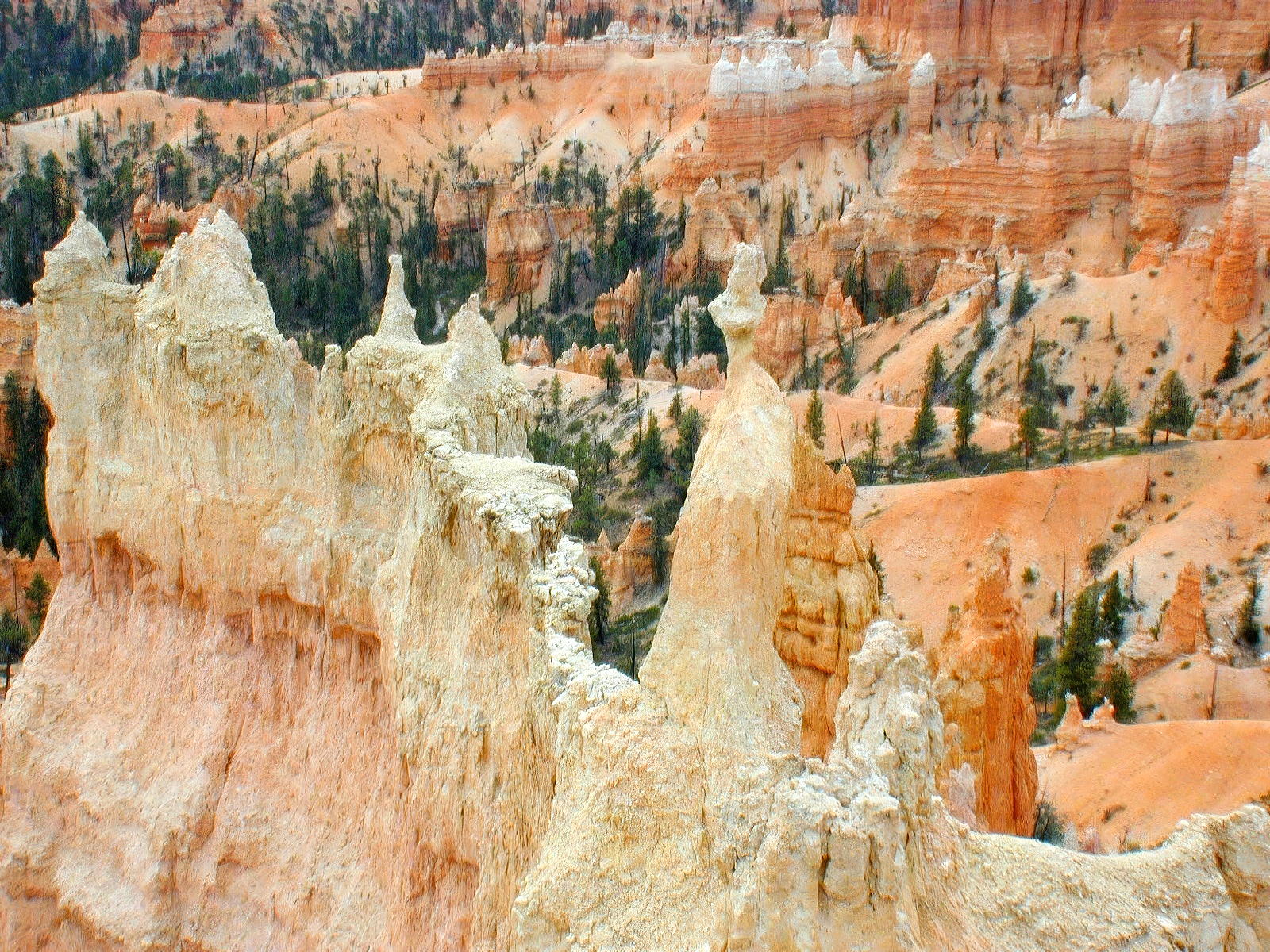 Bryce Canyon
