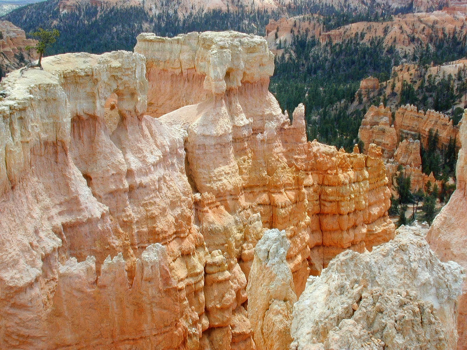 Bryce Canyon