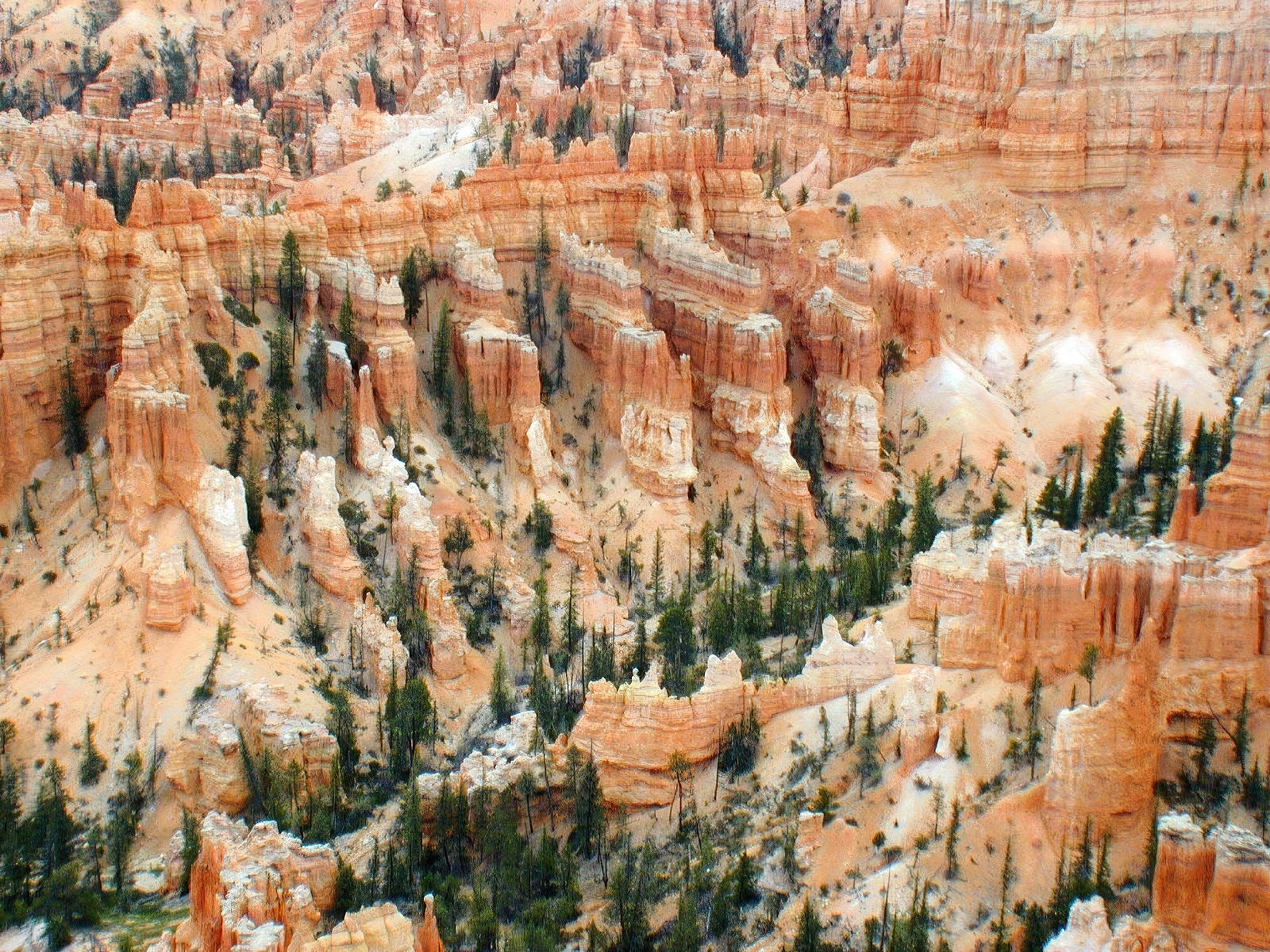 Bryce Canyon