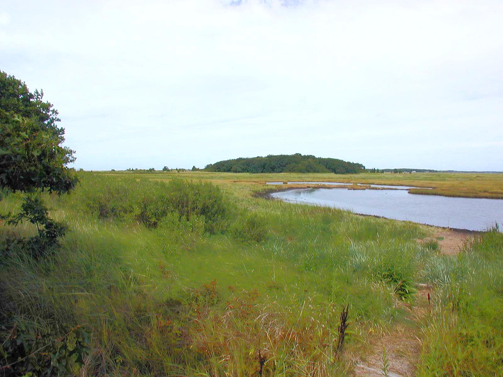 Bird sanctuary