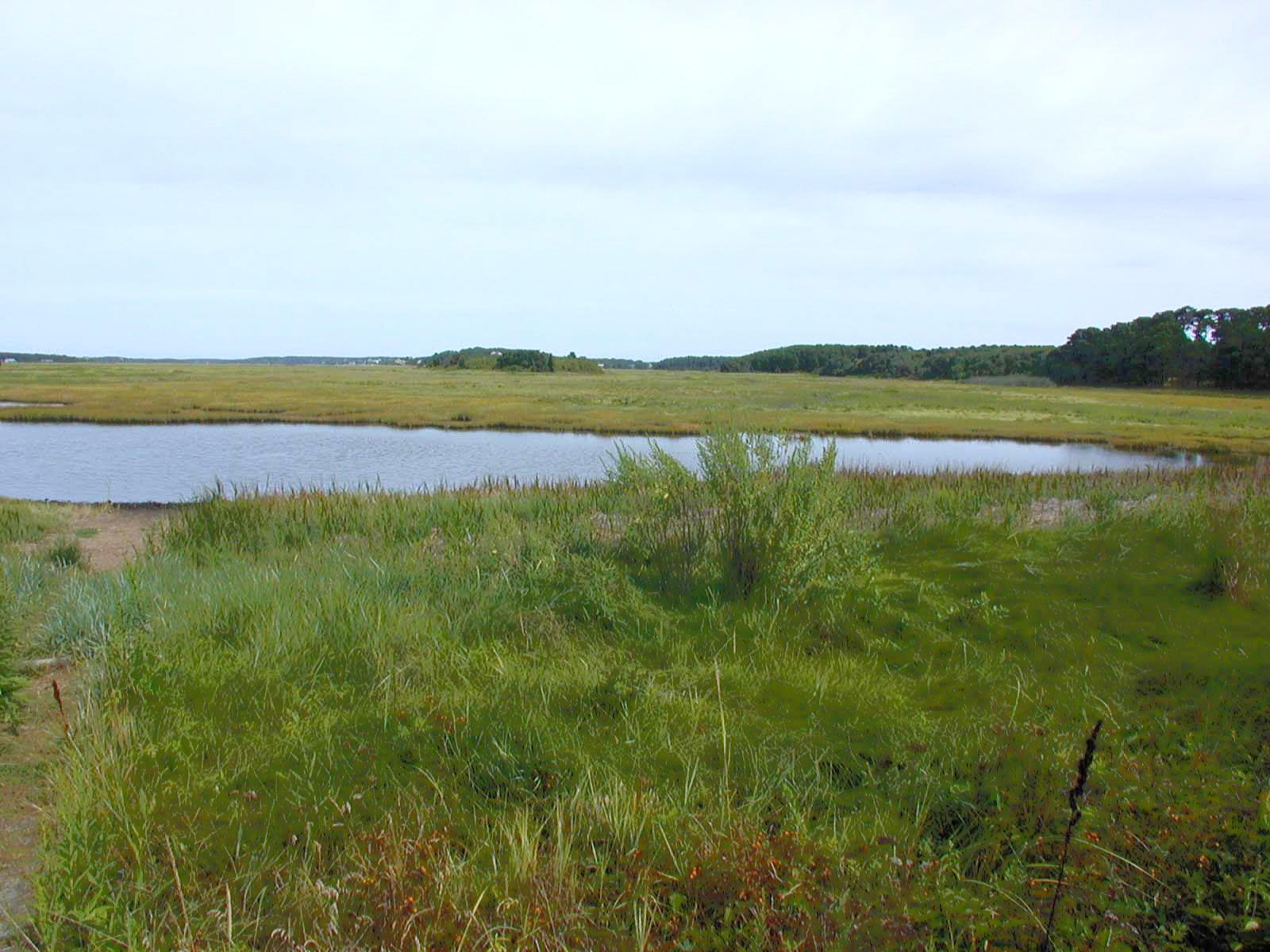 Bird sanctuary