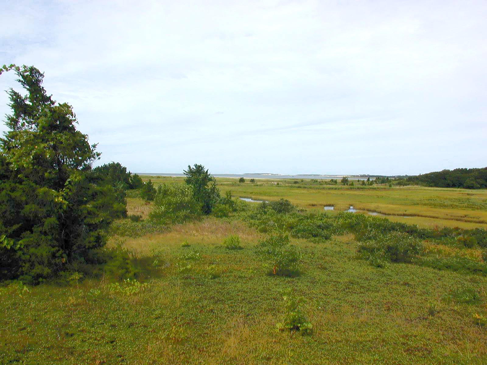 Bird sanctuary