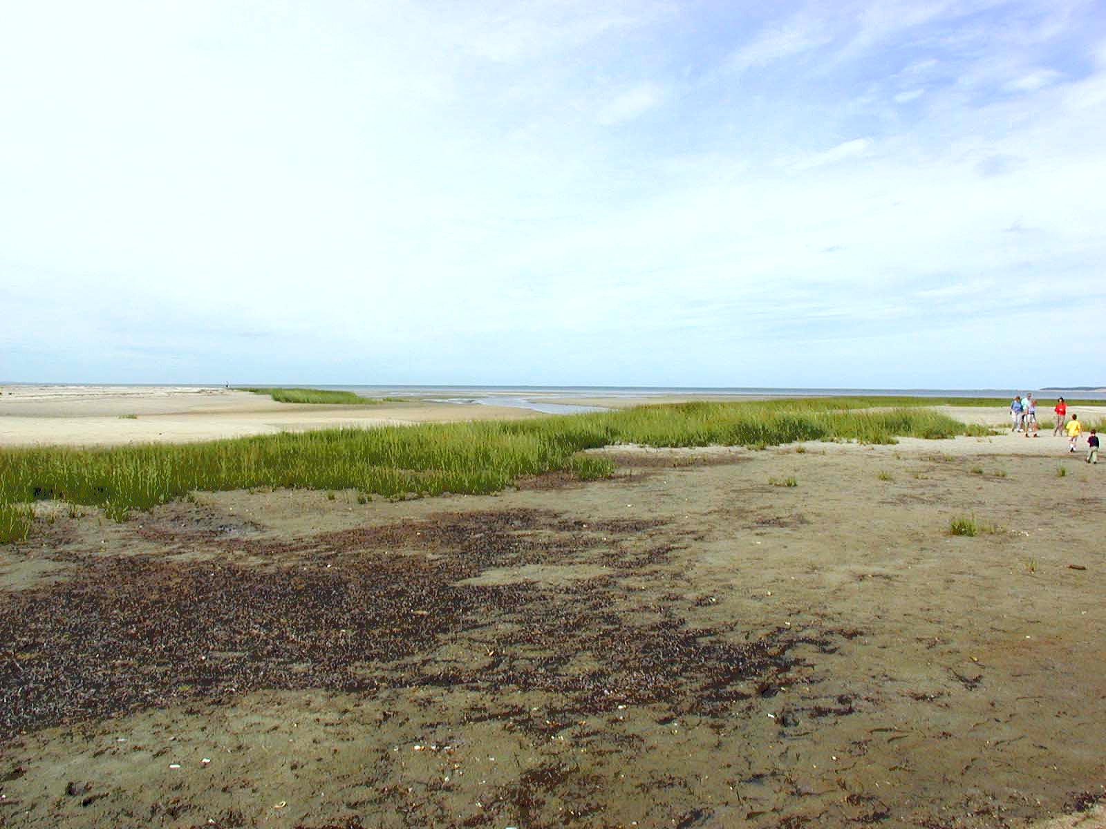 Tidal flats