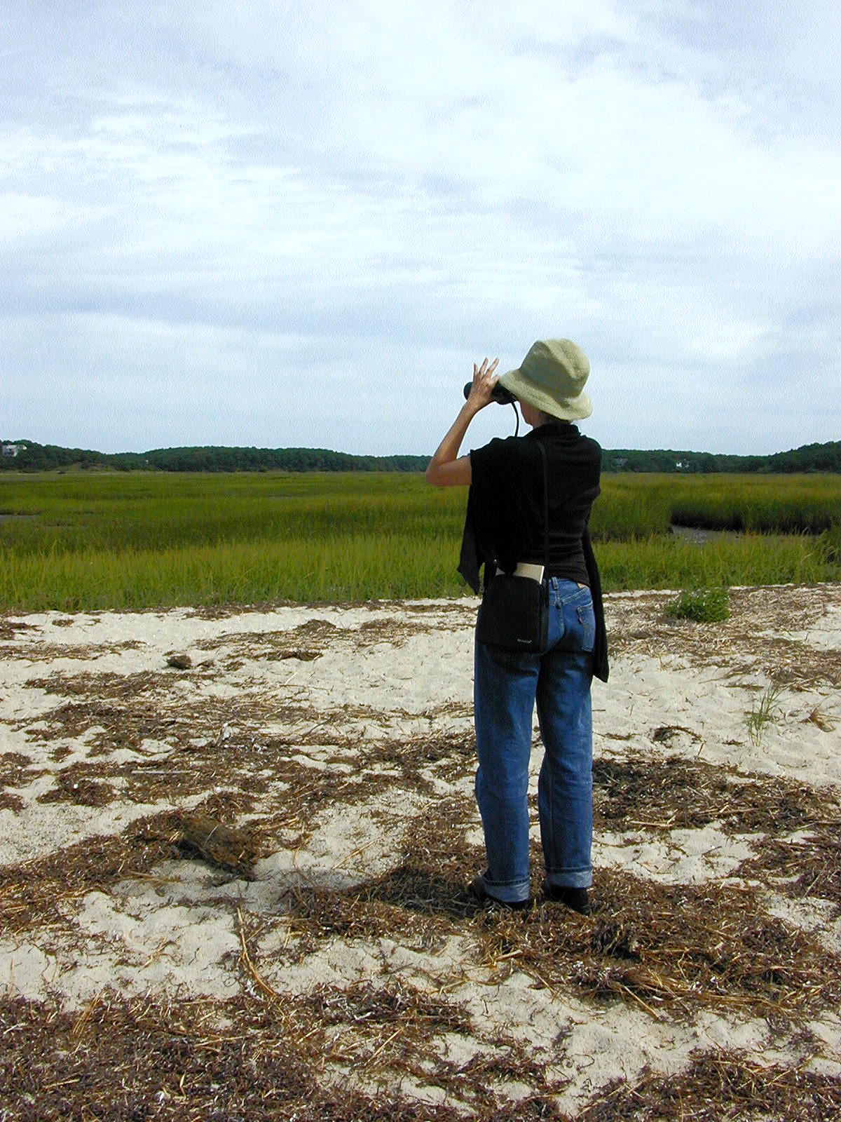 Amateur naturalist at work