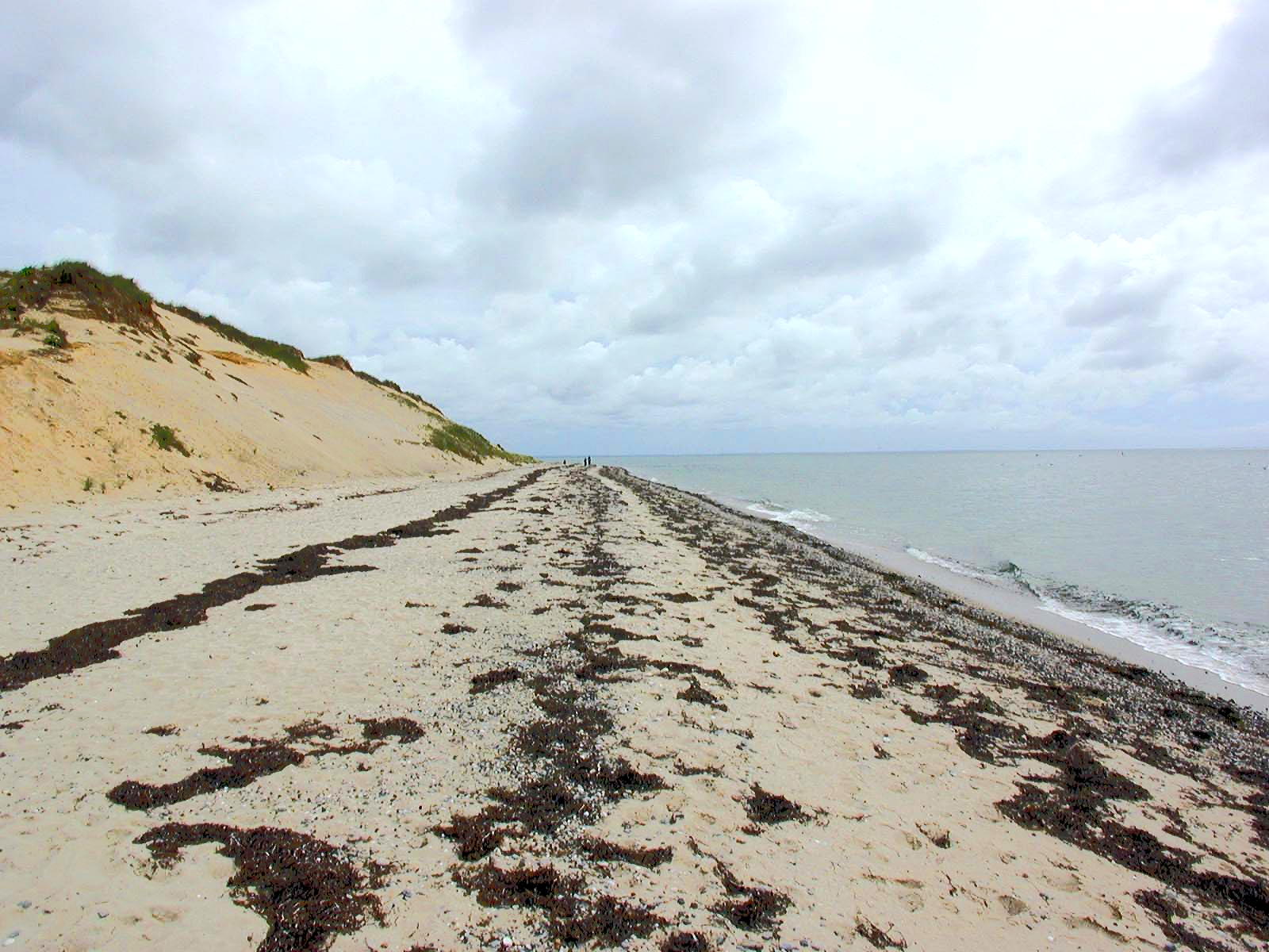 Beach on the bay side
