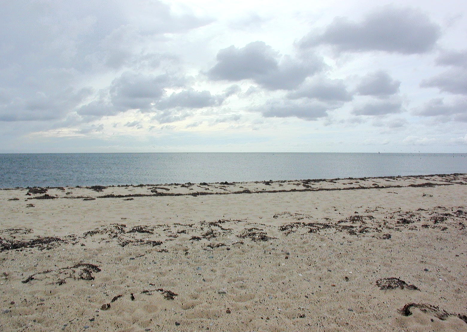 The bay