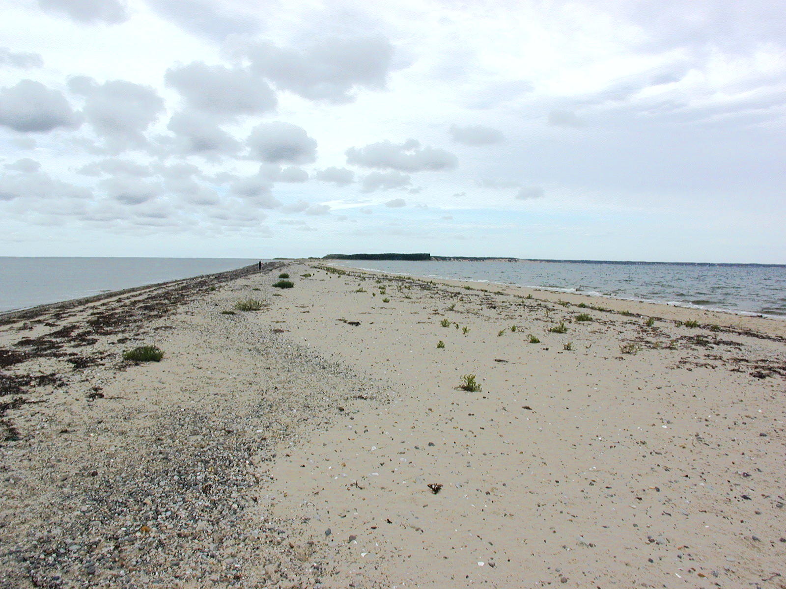 Out on the tidal beach, looking back to the mainland