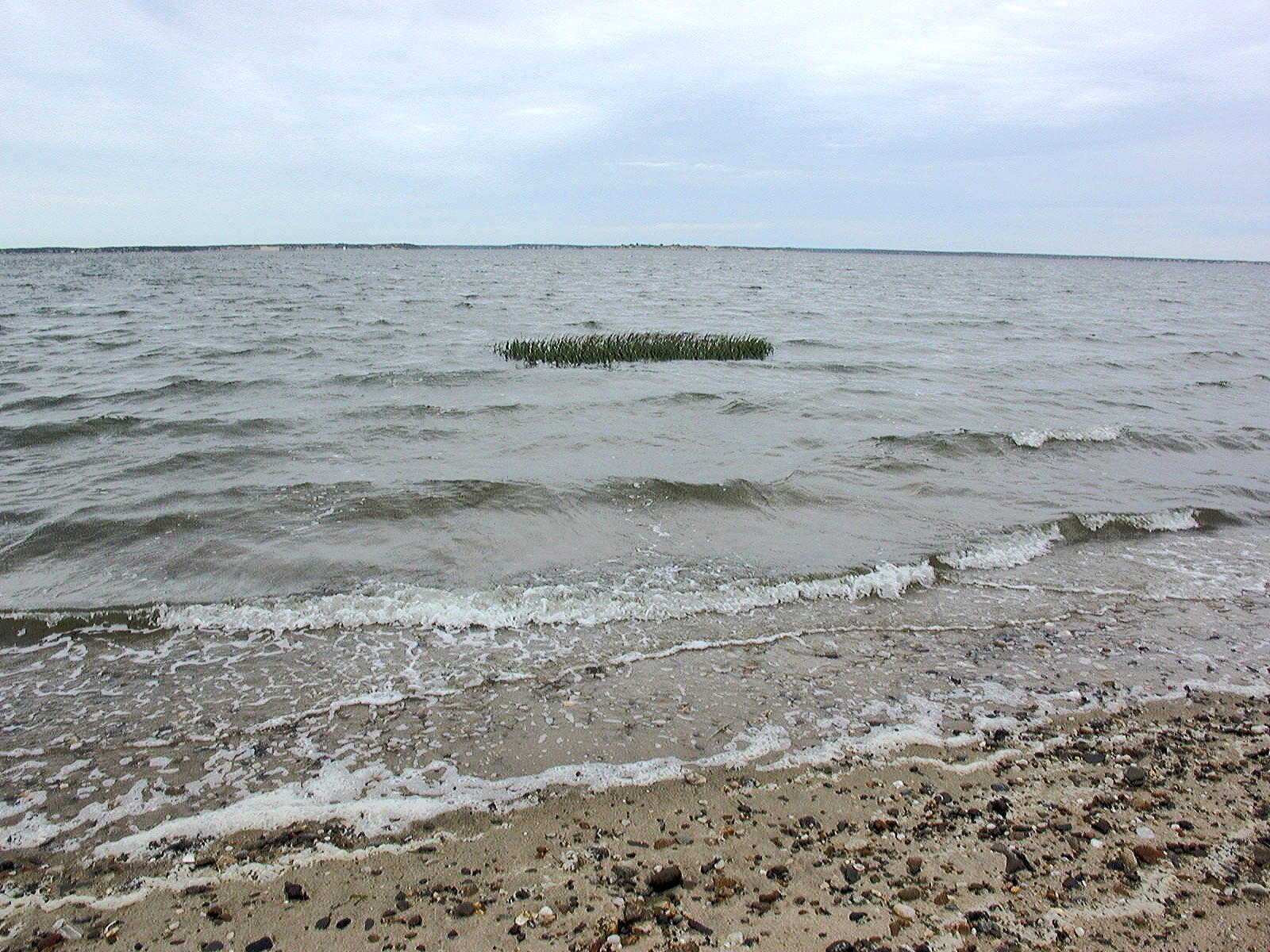 The tide is coming in...