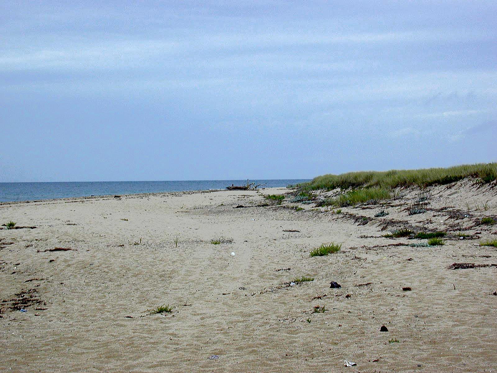 The beach at last