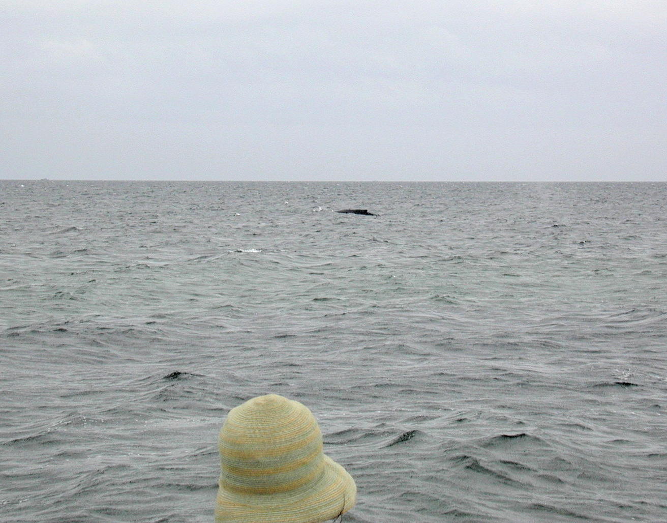 Head in lens is closer than it appears