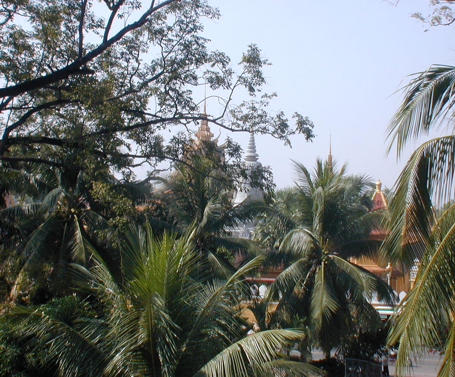a view of the roofs of the royal palace from my window