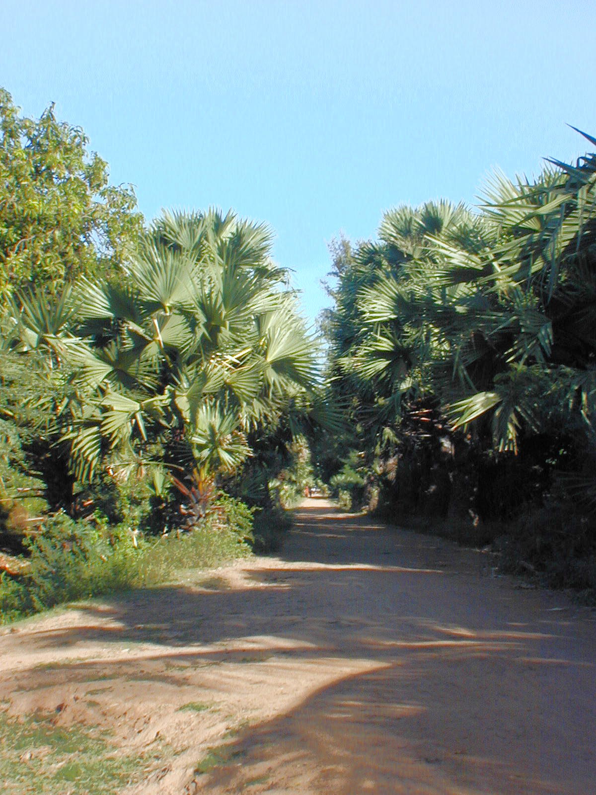 Island road