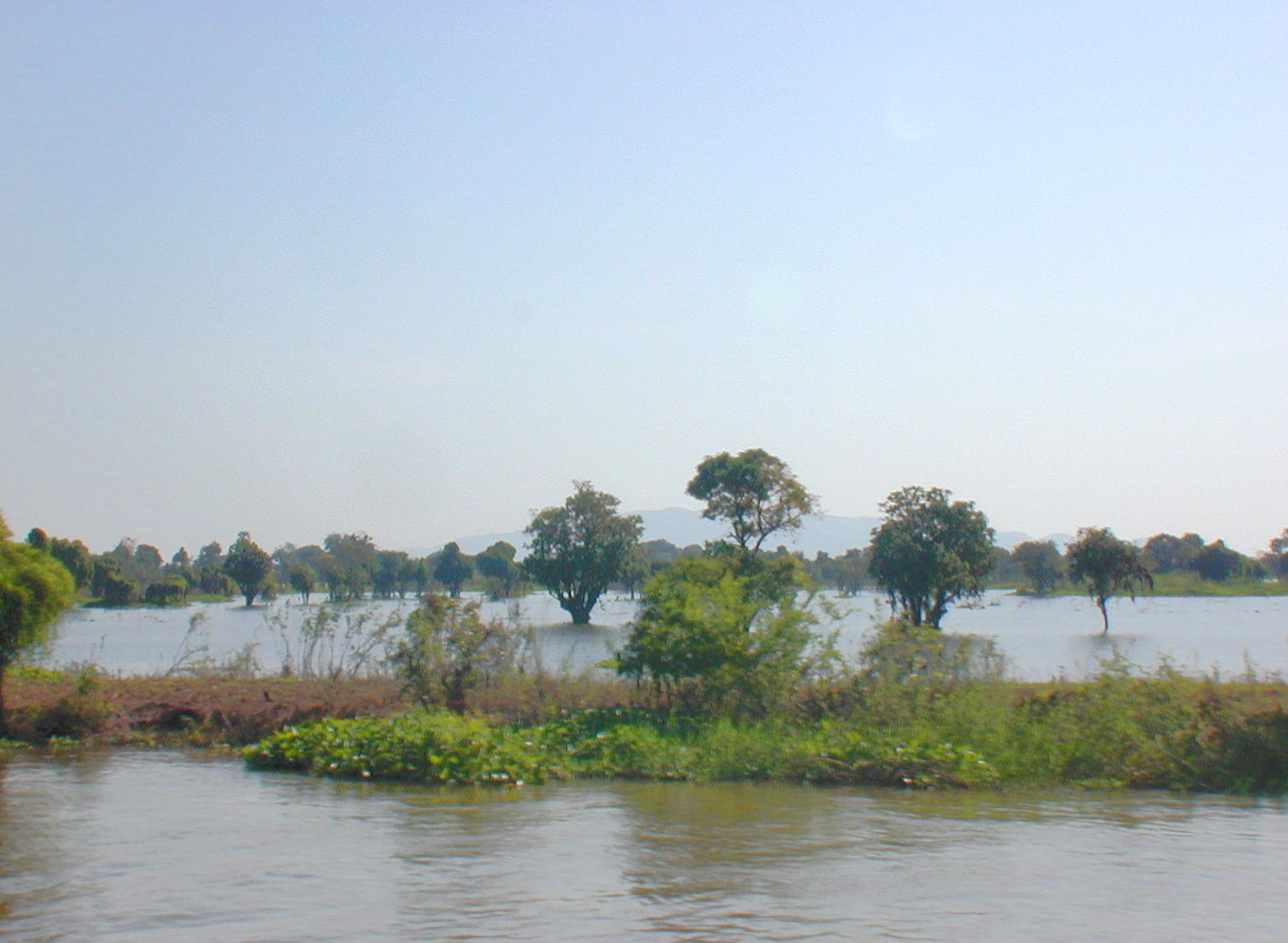 Flood plain
