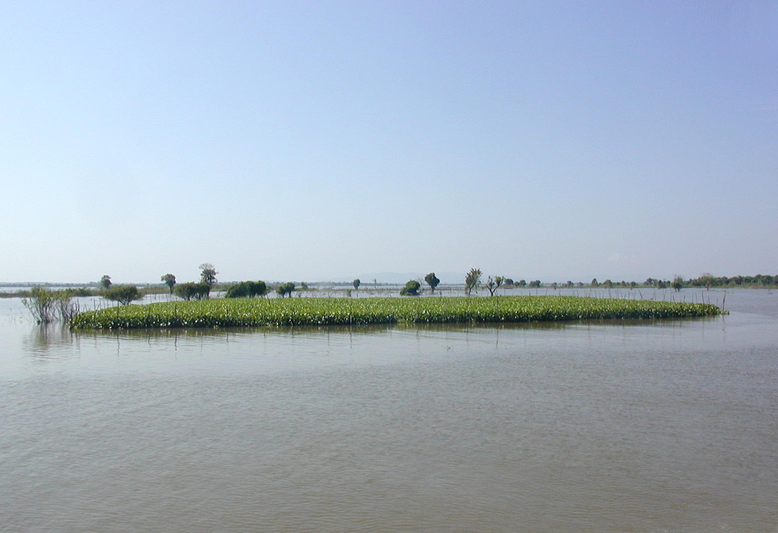 Flood plain