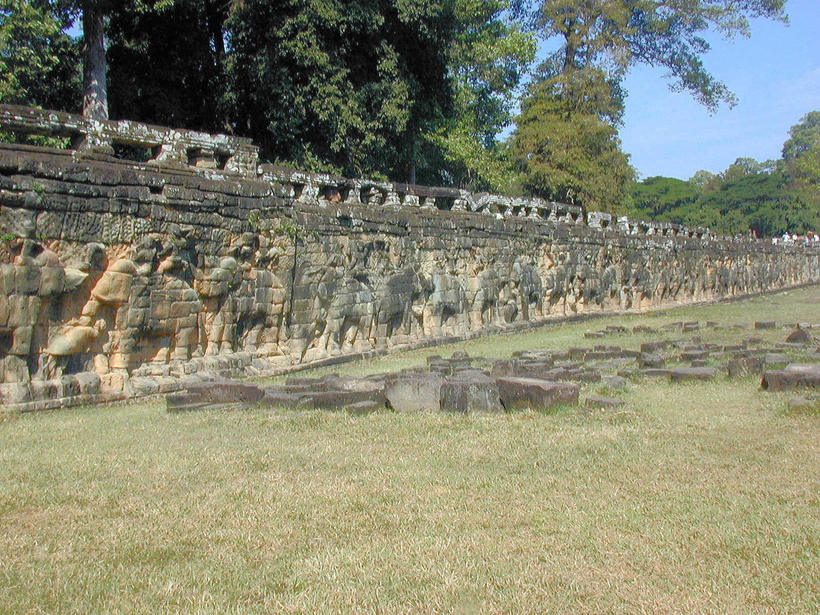 Elephant terrace