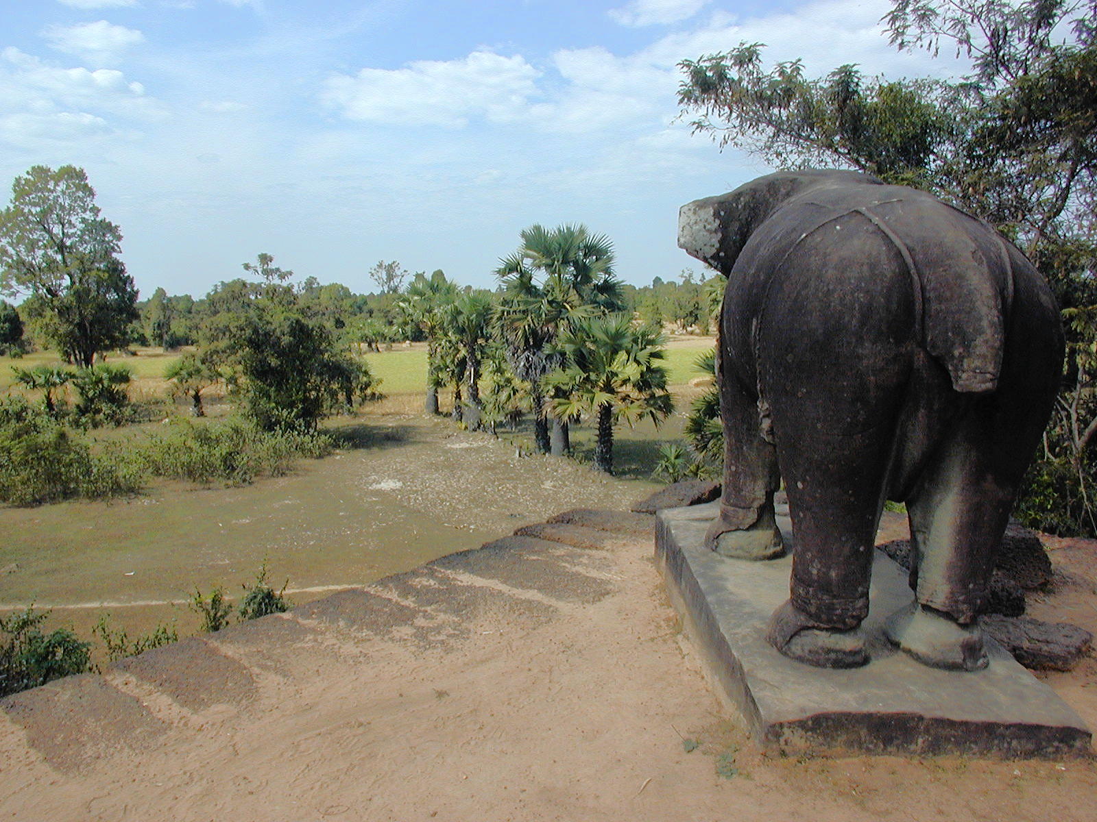 A stone elephant looks out from East Mebon