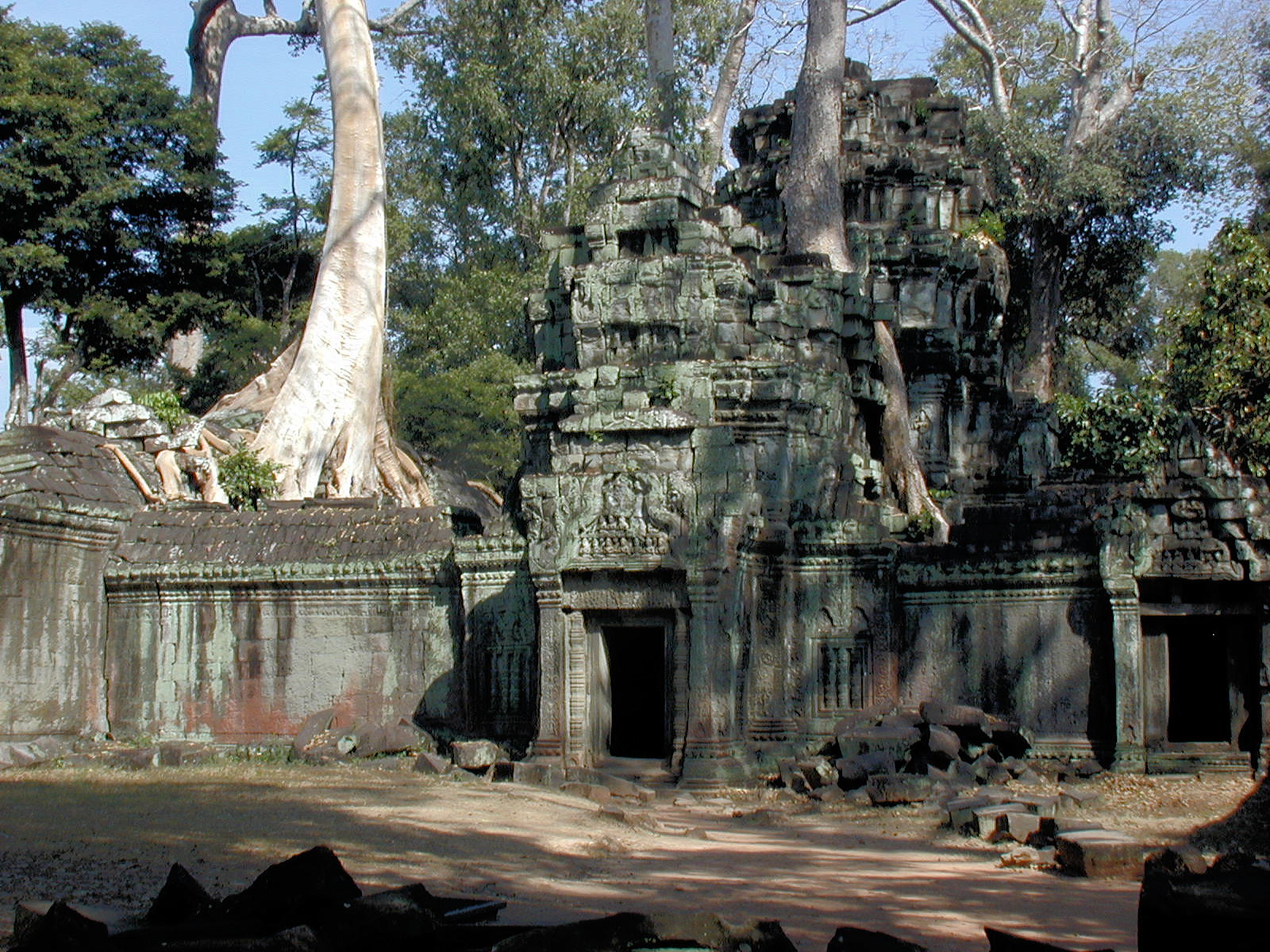 Trees and stone