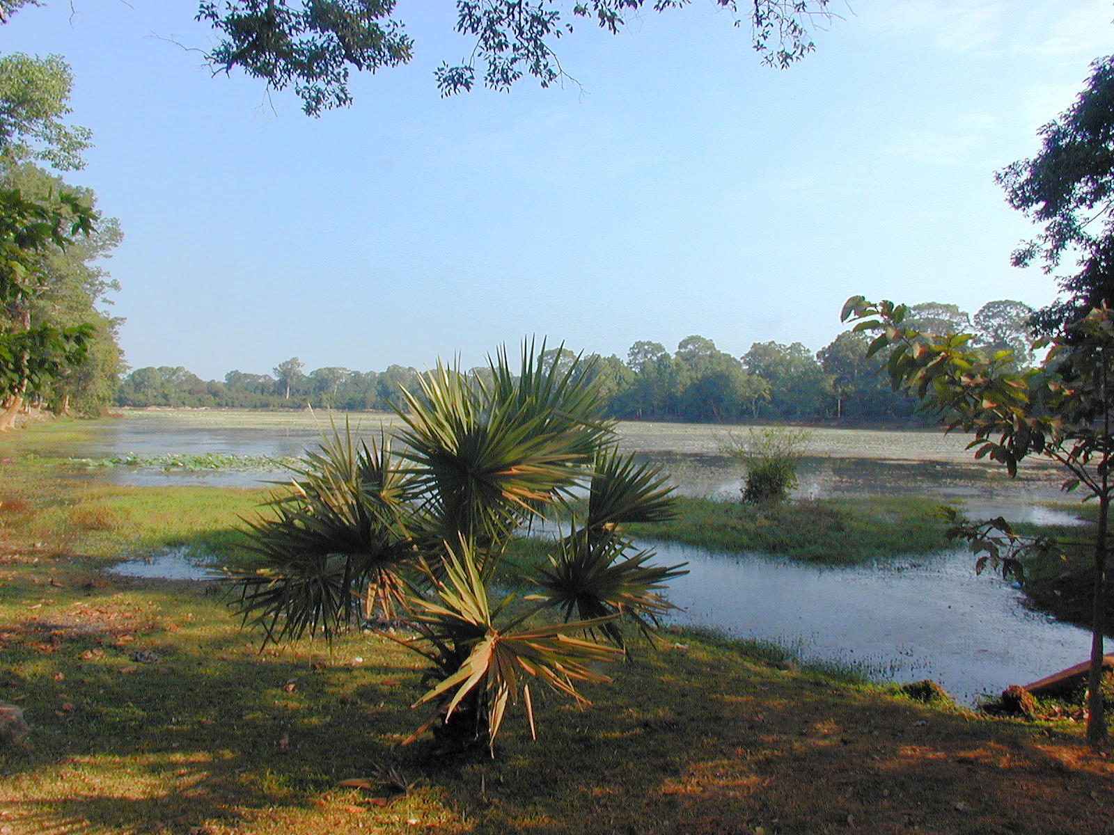 The Moat