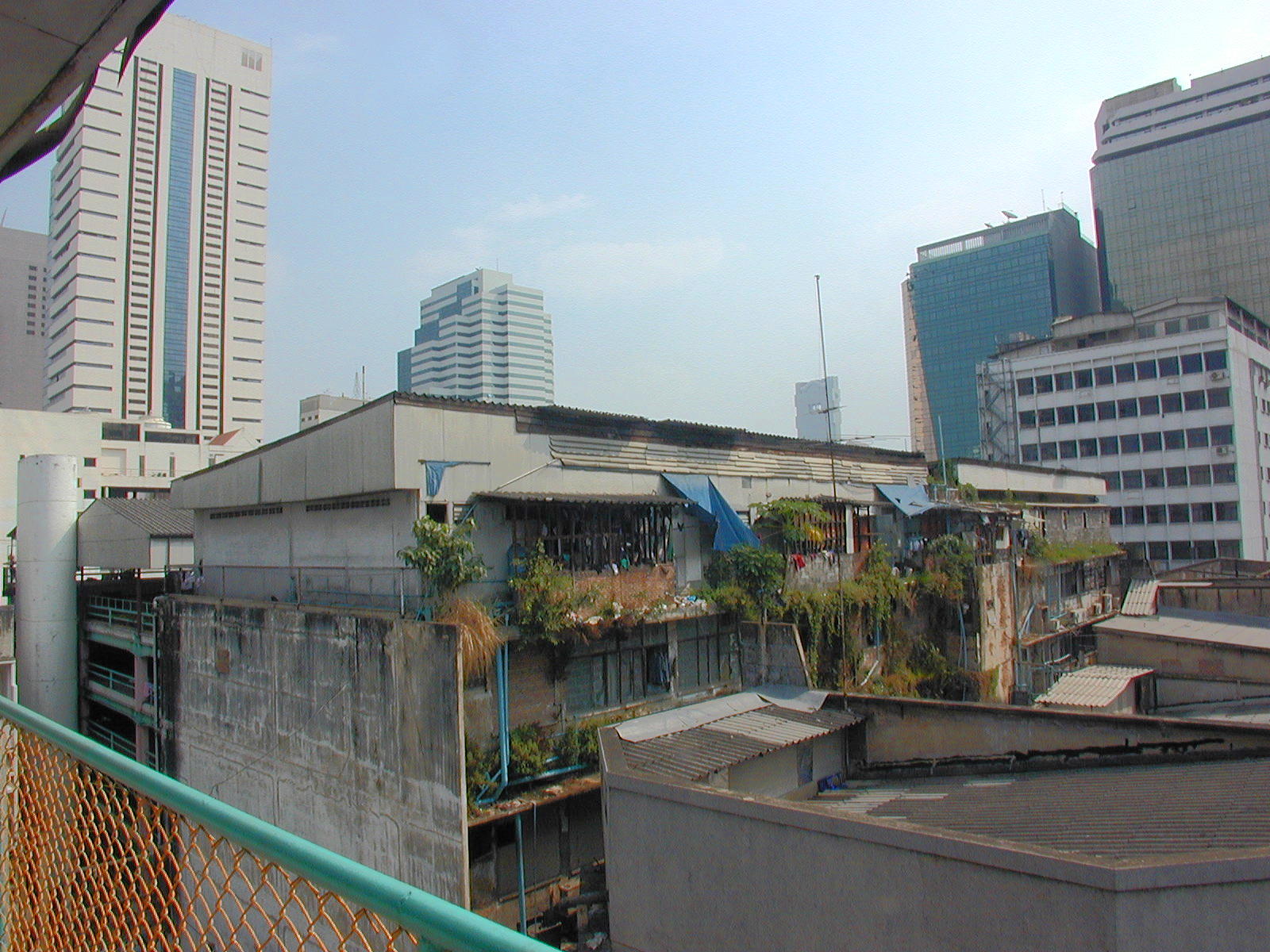 Behind the modern facades, there's still a little jungle