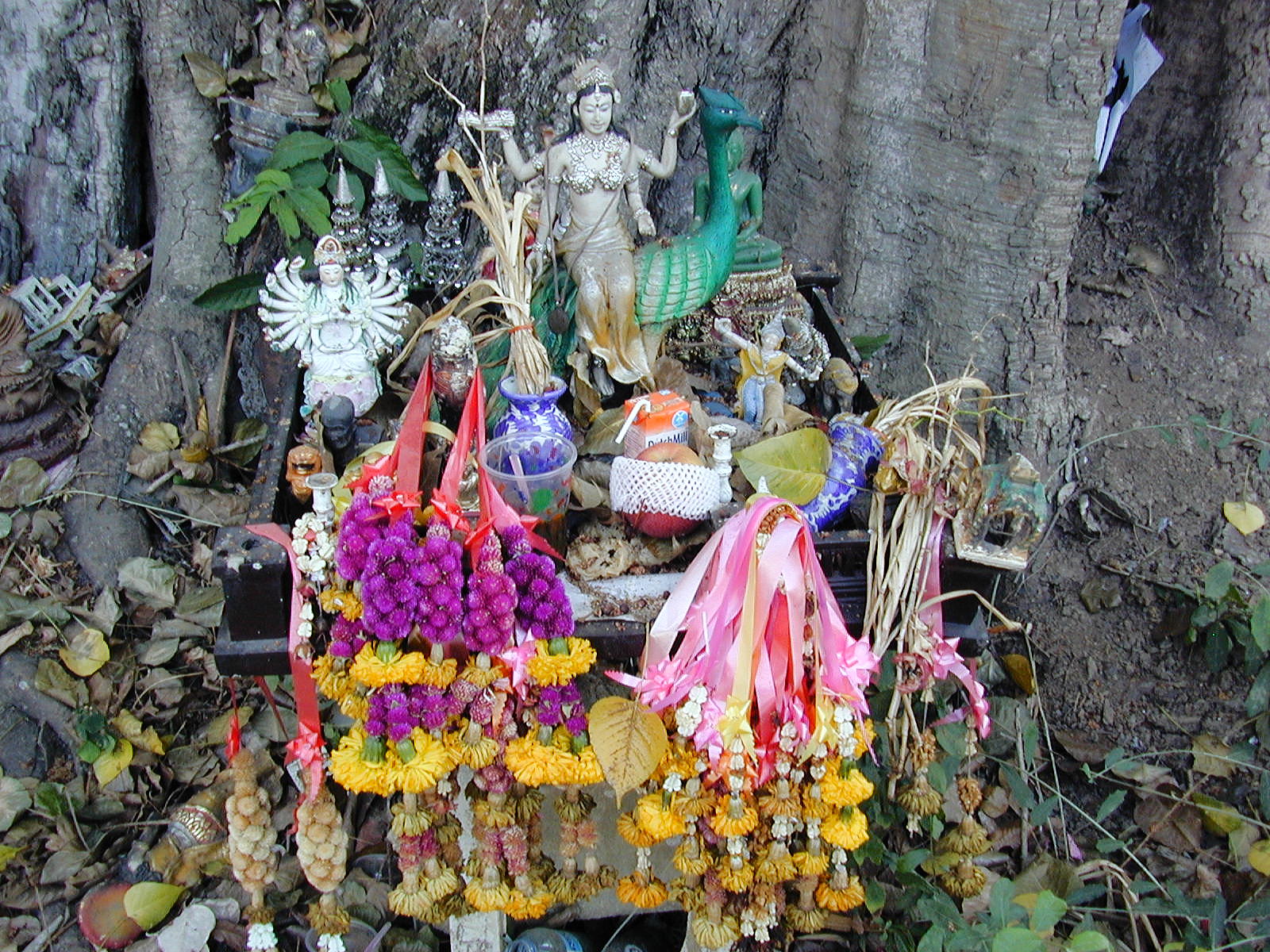 offerings