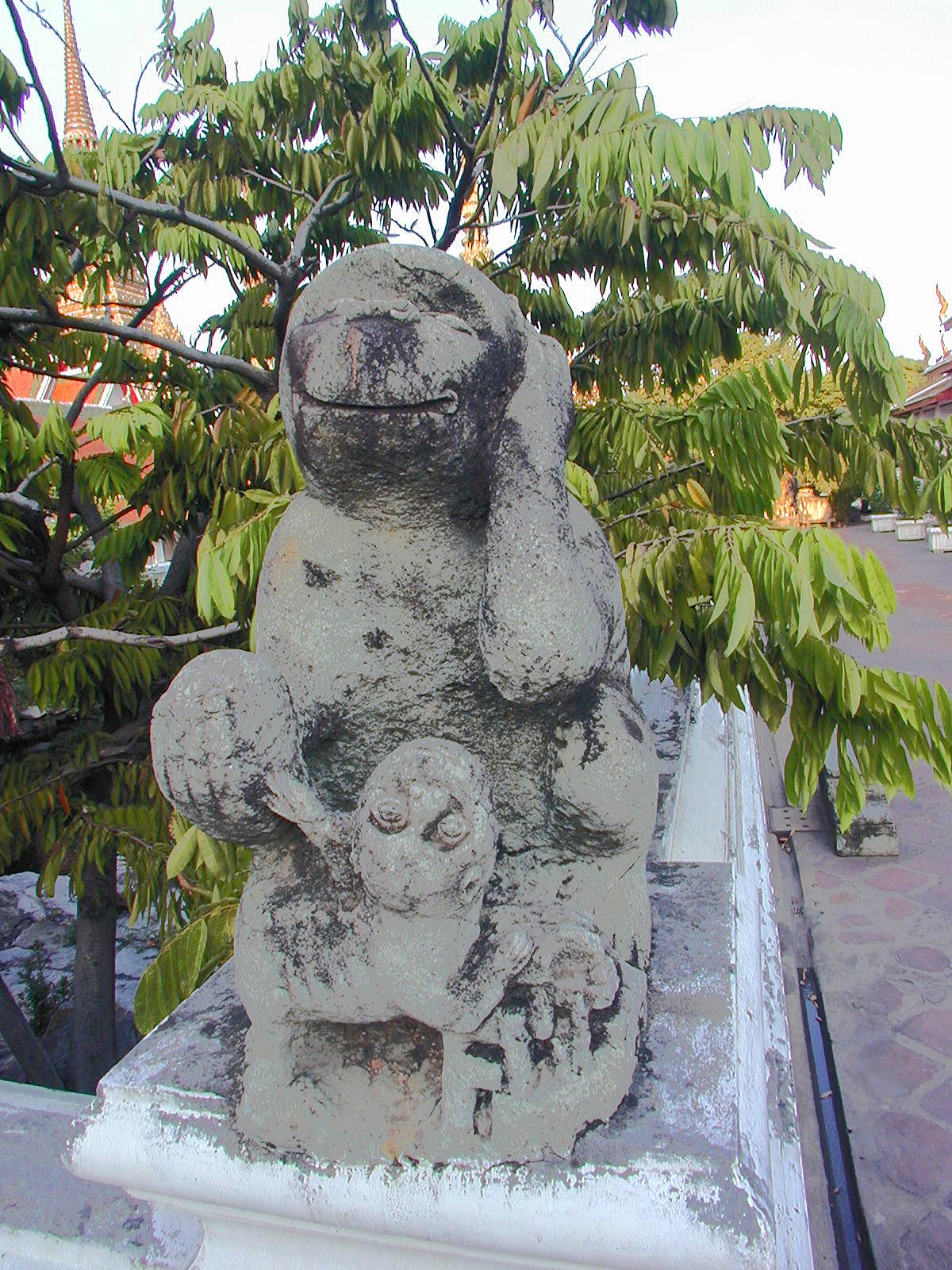 monkey mama
