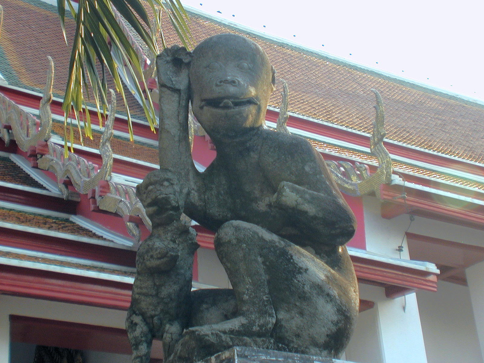 monkey