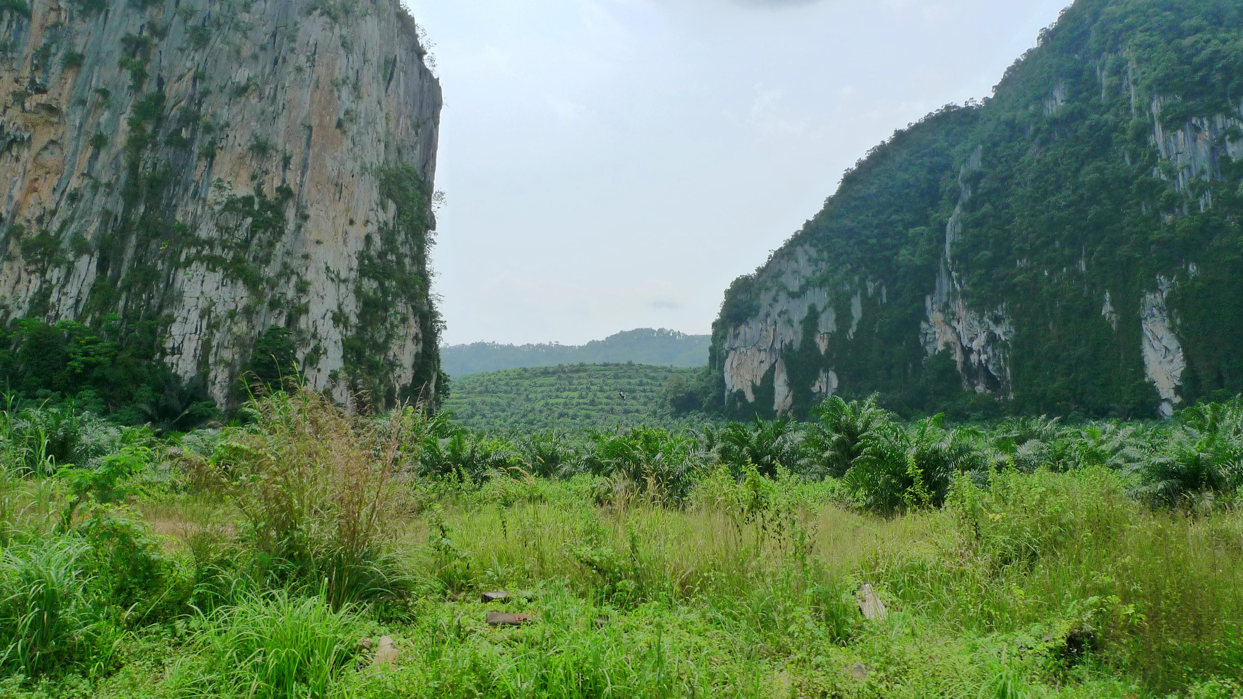 Gua Musang